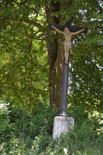 Doľany  (okres Pezinok)