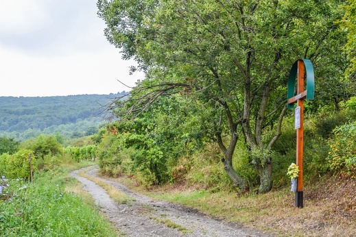 Dubová (okres Pezinok)