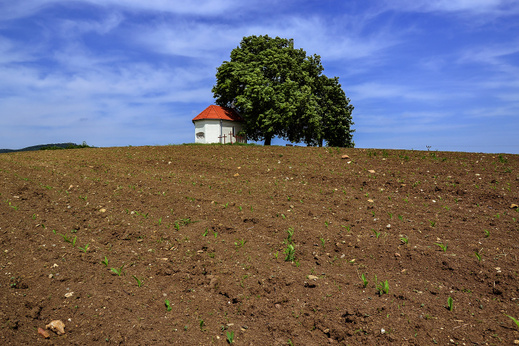 Častá (okres Pezinok)