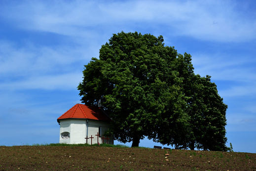 Častá (okres Pezinok)