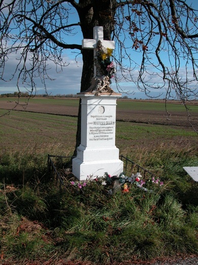 Tureň