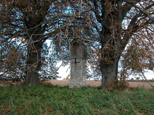 Senec