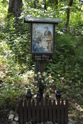 DSC_0250.JPG