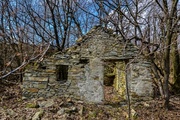 vinohradni buda v modranských vinohradoch2.jpg
