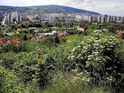 z lamača kostol.jpg